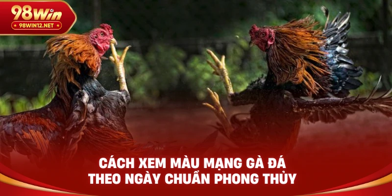 màu mạng gà đá theo ngày 98win